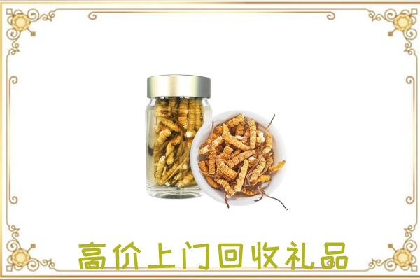 乌海周边回收虫草